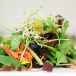 Capital Catering GmbH